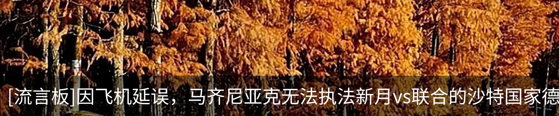 行业资讯